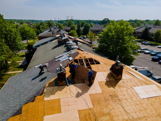 Best Metal Roofing Contractor  in Oakland City, IN