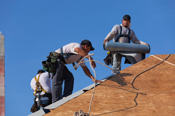 Best Roof Repair Services  in Oakland City, IN