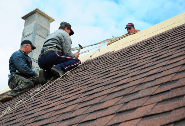 Best Roof Maintenance Services  in Oakland City, IN
